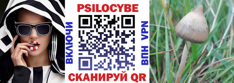 Псилоцибиновые грибы прущие грибы купить цена дарк нет наркотические препараты Кириллов